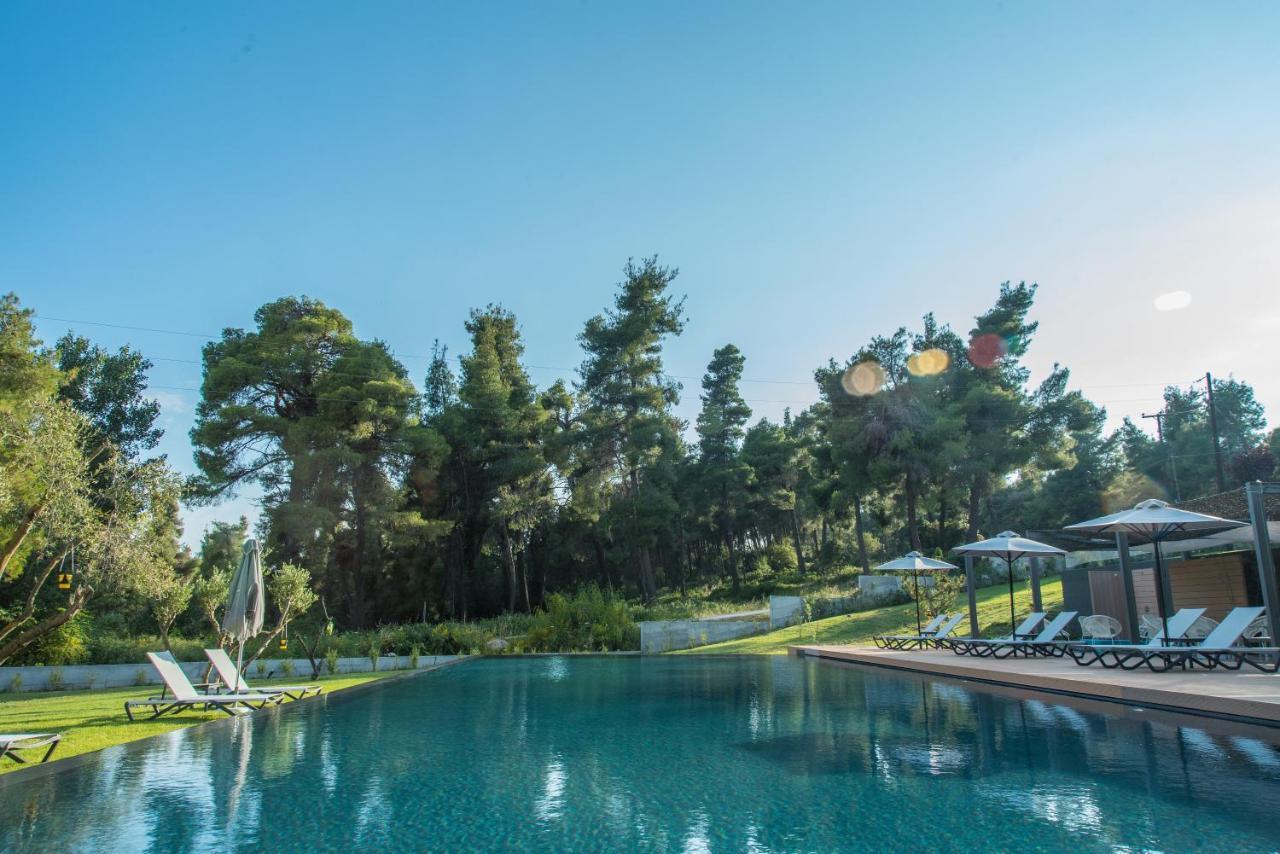 Sani & Sani Woods (adults Only) Hotel apartamentowy Sani (Chalkidiki)